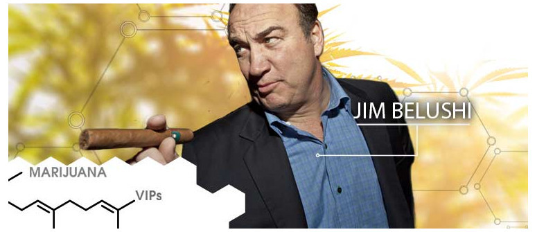 Stars du cannabis : Jim Belushi Stars du cannabis : Jim Belushi