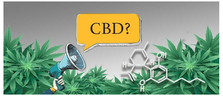 10 datos sobre el CBD que quizás no conocieses