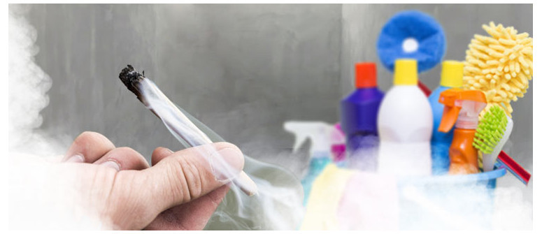 5 tips on how to get the smell of weed out of anything 5 tips on how to get the smell of weed out of anything