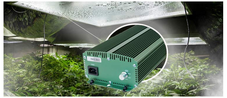 All about ballasts for cannabis grow lights
