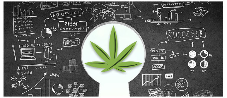 10 cannabis business ideas that'll make you want to quit your day job 10 cannabis business ideas that'll make you want to quit your day job