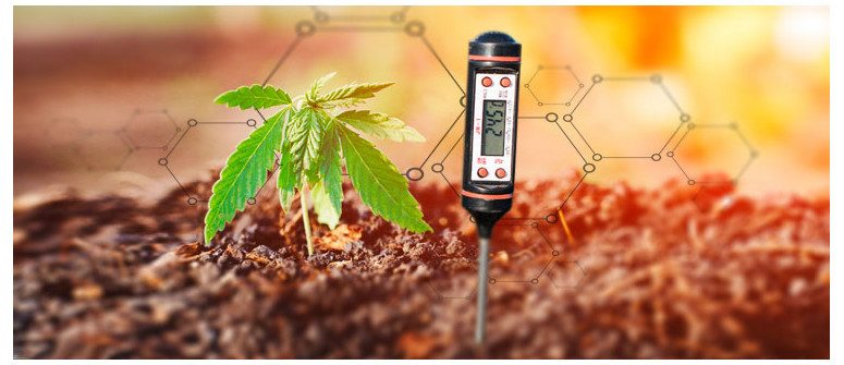 How much does the ph value really matter when growing cannabis outdoors?