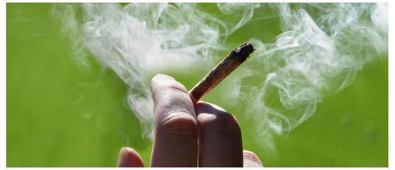 Health effects of smoking marijuana vs tobacco Health effects of smoking marijuana vs tobacco