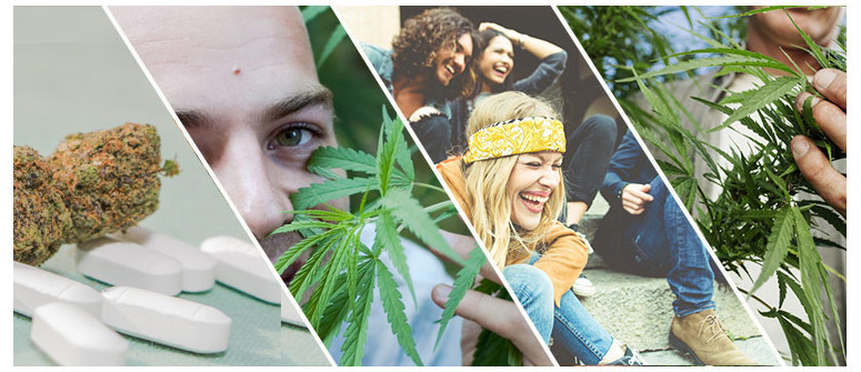 4 Maneras en las que el cannabis está cambiando el mundo