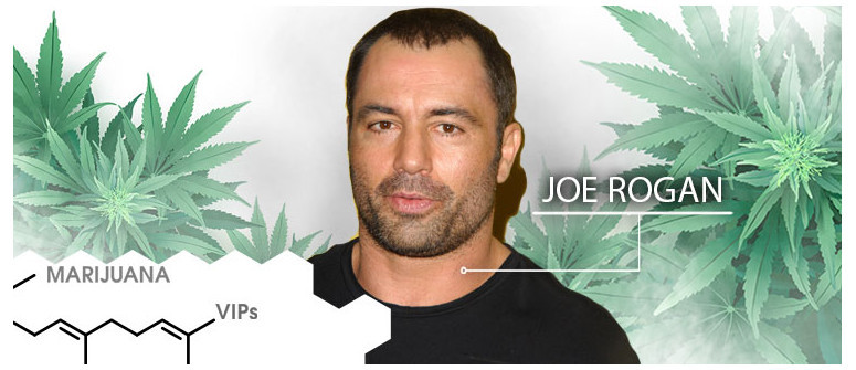 VIP de la marihuana: Joe Rogan