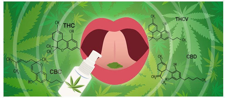 What's the difference between sublingual absorption and oral intake?