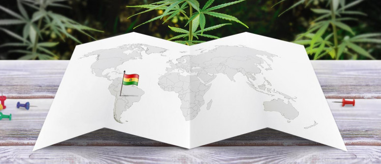 Statut légal du cannabis en Bolivie