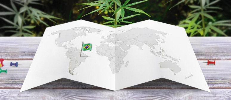 Statut légal du cannabis au Brésil Statut légal du cannabis au Brésil