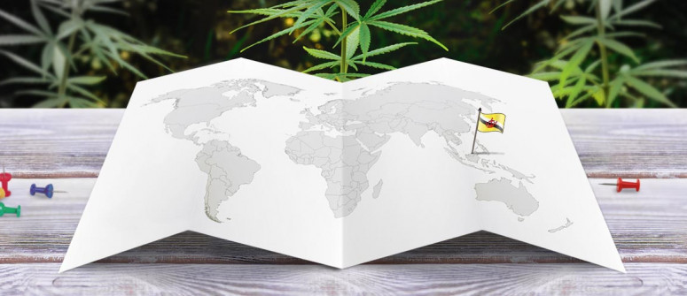 Legal status of marijuana in brunei