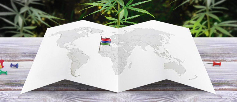 Legal status of marijuana in gambia