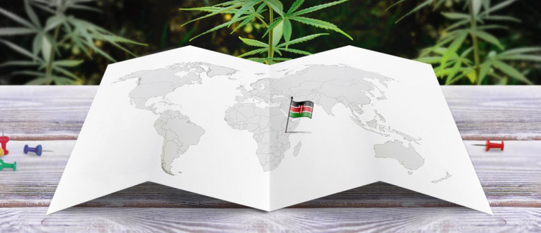 Statut légal du cannabis au Kenya