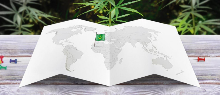 Estatus legal del cannabis en Mauritania