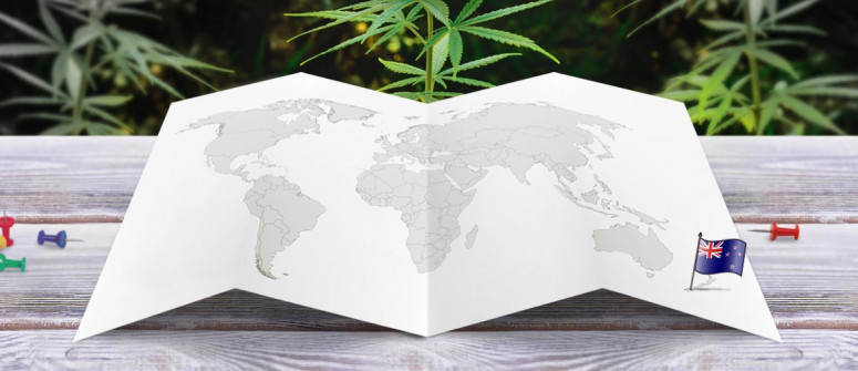 Legal status of marijuana in New Zealand Legal status of marijuana in New Zealand