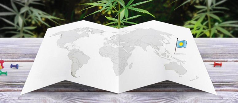 Estatus legal del cannabis en Palaos