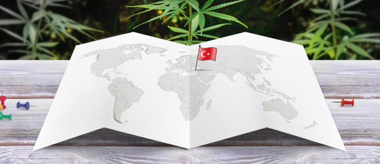 Legal status of marijuana in turkey