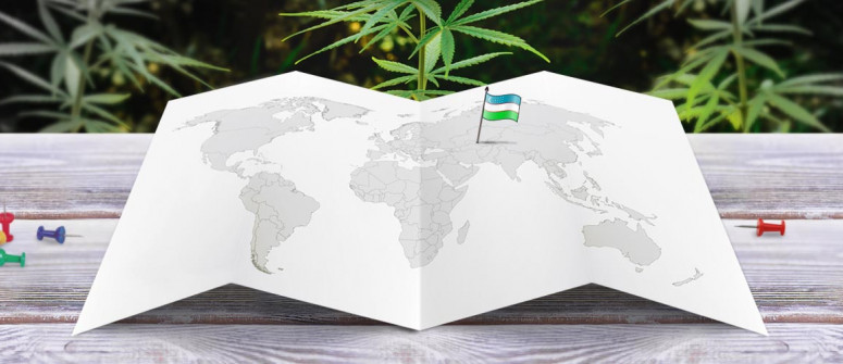 Statut légal du cannabis en Ouzbékistan