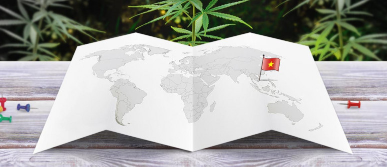 Statut légal du cannabis au Vietnam