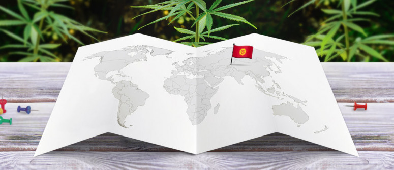 Legal status of marijuana in kyrgyzstan