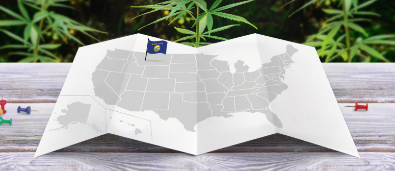 Legal status of marijuana in the state of montana Legal status of marijuana in the state of montana