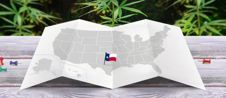 Legal status of marijuana in the state of texas