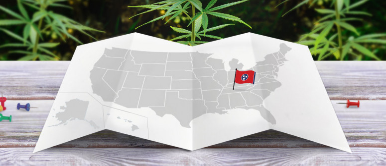 Legal status of marijuana in the state of tennessee