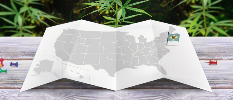 Situación legal de la marihuana en el estado de Delaware Situación legal de la marihuana en el estado de Delaware