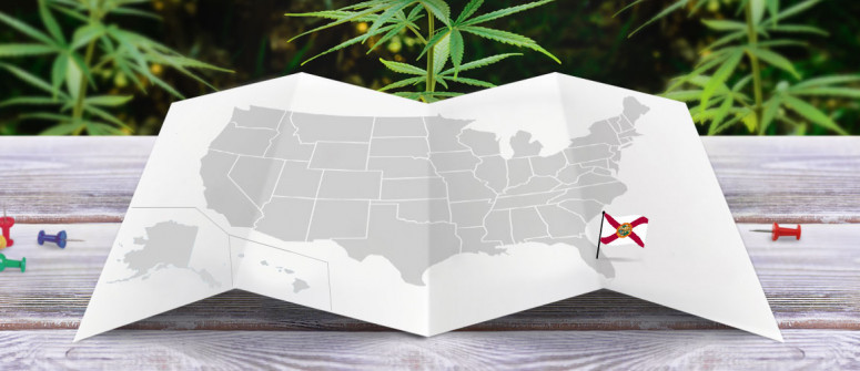 Le Statut Juridique Du Cannabis Dans L’Etat de Floride