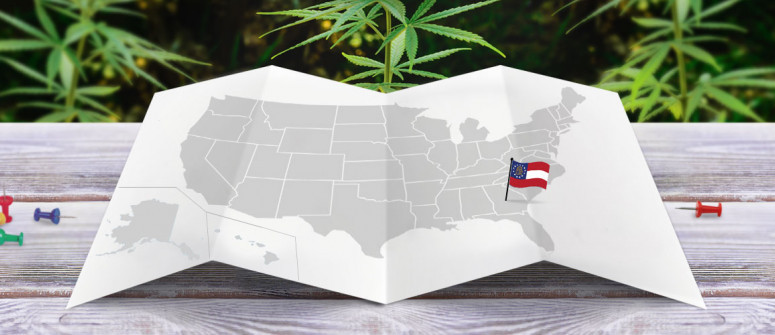 Le Statut Juridique Du Cannabis Dans L’Etat de Géorgie