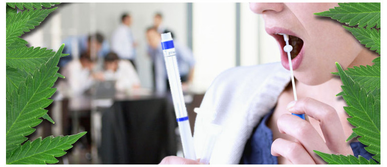 How does a marijuana saliva test work? How does a marijuana saliva test work?