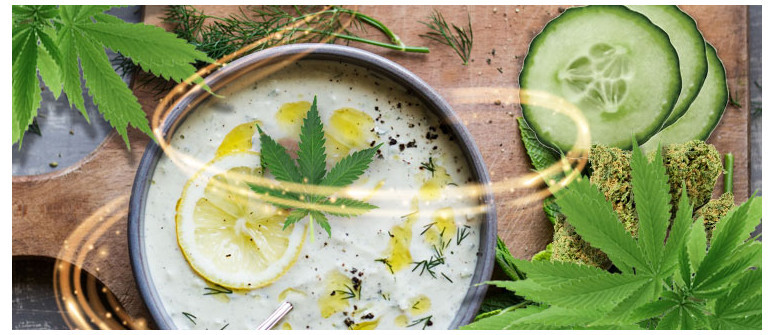 Cannabis-infused tzatziki recipe