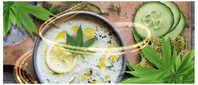 Cannabis-infused tzatziki recipe Cannabis-infused tzatziki recipe