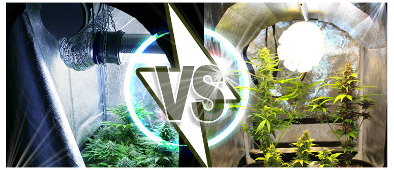 The different light reflectors for marijuana grow lamps The different light reflectors for marijuana grow lamps