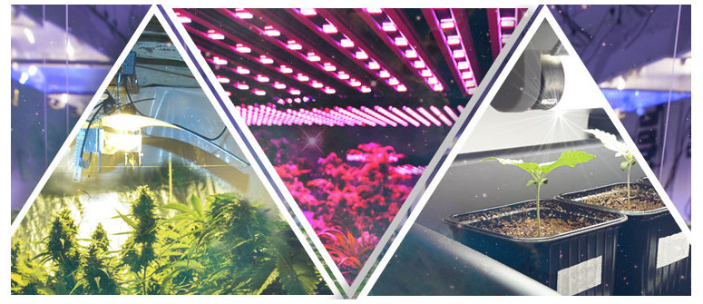 Different kinds of light used for growing Different kinds of light used for growing