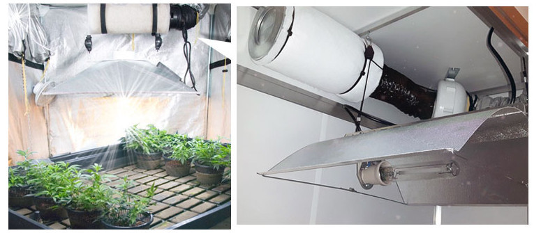 How to control the smell of indoor cannabis How to control the smell of indoor cannabis