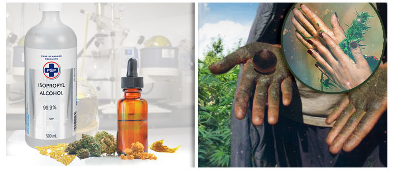Cannabis concentrates: what's the difference between solvent and solventless extracts? Cannabis concentrates: what's the difference between solvent and solventless extracts?