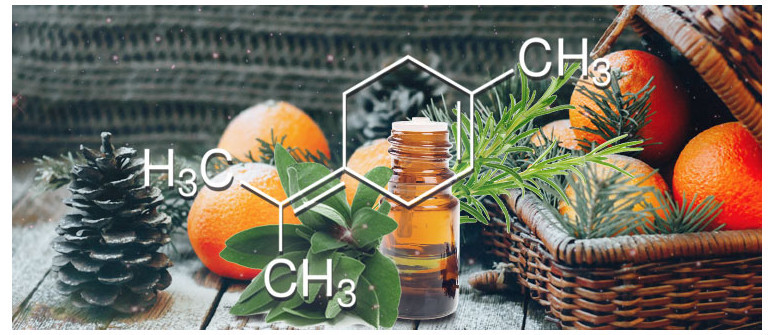 Terpene profile: terpinolene