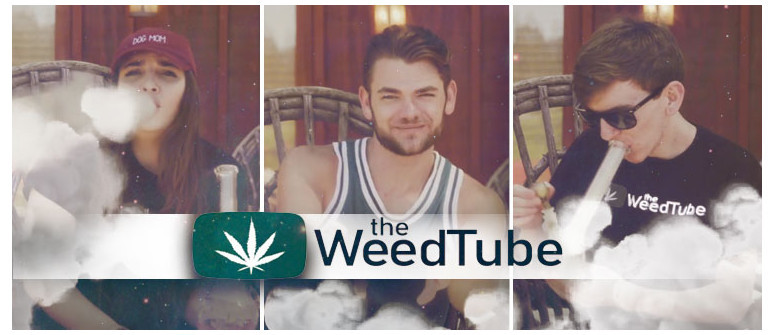 The WeedTube : nouvel oasis de contenu vidéo cannabis