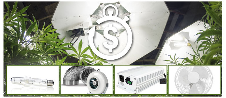 How to calculate the electricity costs for growing cannabis indoors How to calculate the electricity costs for growing cannabis indoors