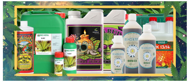 The full guide to the best cannabis nutrients The full guide to the best cannabis nutrients
