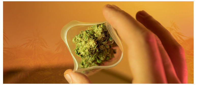 10 Conseils pour une première consommation de cannabis