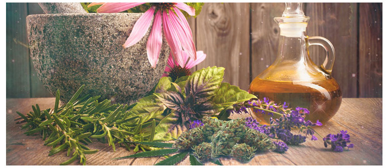 Herbs to mix with cannabis Herbs to mix with cannabis