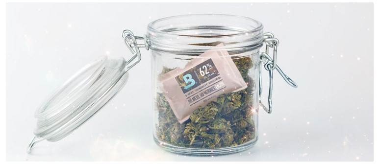How to cure cannabis buds the best way How to cure cannabis buds the best way