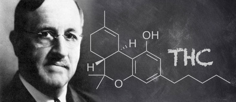 ¿Quién descubrió realmente el THC?