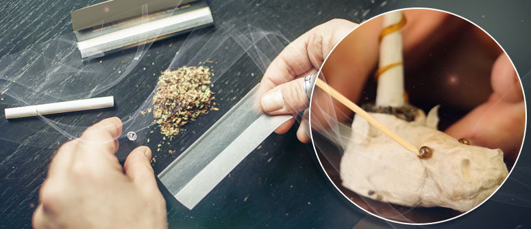 3 insane joint rolling creations 3 insane joint rolling creations