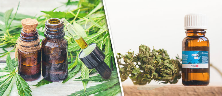 La diferencia entre aceite de CBD y aceite de cannabis