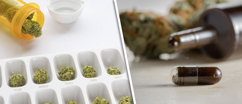 Microdosage du cannabis : Tout ce qu'il faut savoir