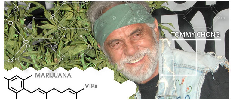 Stars du cannabis : Tommy Chong