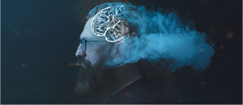 Does cannabis kill brain cells? Cannabis myths debunked Does cannabis kill brain cells? Cannabis myths debunked