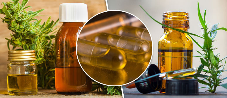 The 3 most popular cbd extraction methods