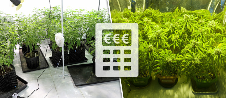 How much does it cost to grow marijuana indoors?